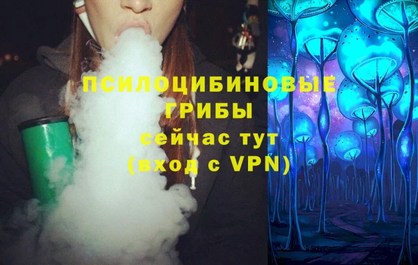 винт Арсеньев