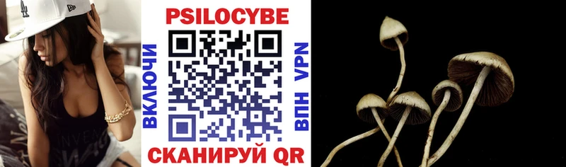 Галлюциногенные грибы Psilocybine cubensis  Бирюч 